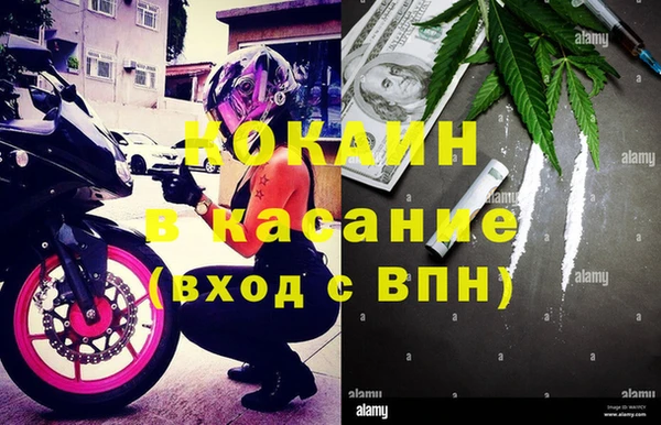 гидропоника Бородино