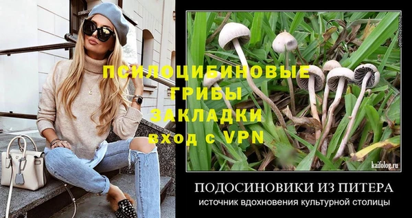 ALPHA PVP Верея