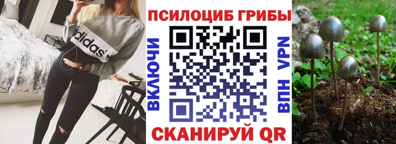 блэк спрут ССЫЛКА  Искитим  Галлюциногенные грибы мухоморы 